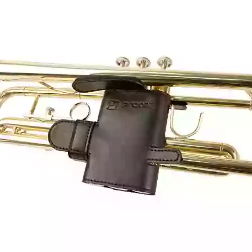 Pro Tec L226SP Trumpet 6-Point Leather Valve Guard