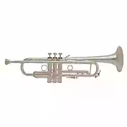 LR19034B Bach Stradivarius Mariachi Series Bb trumpet in silver plate