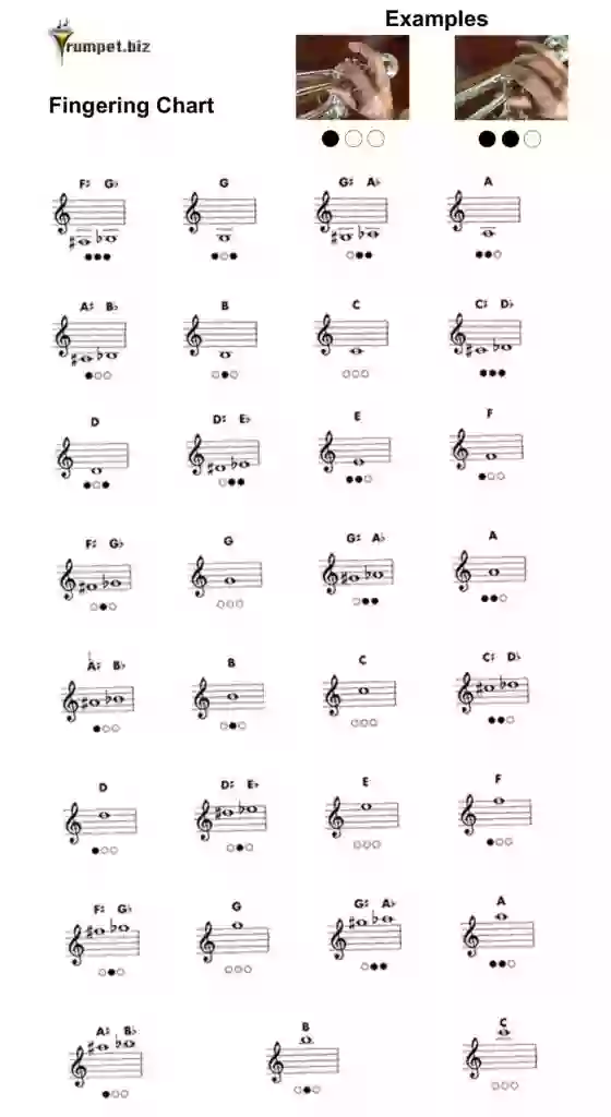 Trumpet.biz Trumpet Fingering Guide with examples.