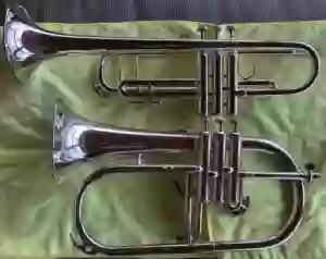 Trumpet vs Flugelhorn left side view