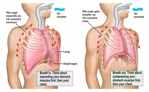 Diagram of how to use your diaphragm.
