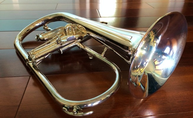 Frugal shop horn instrument