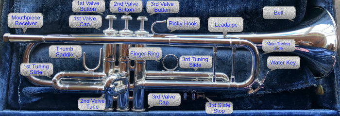 Trumpet Parts - Anatomy
Vincent Bach Stradivarius Trumpet Model 180 with a #37 bell.
