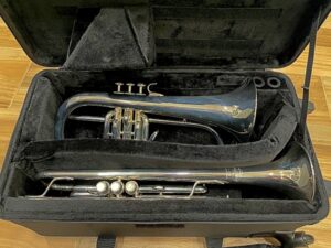 ProTec Pro Pac case with a Yamaha flugelhorn and Bach trumpet